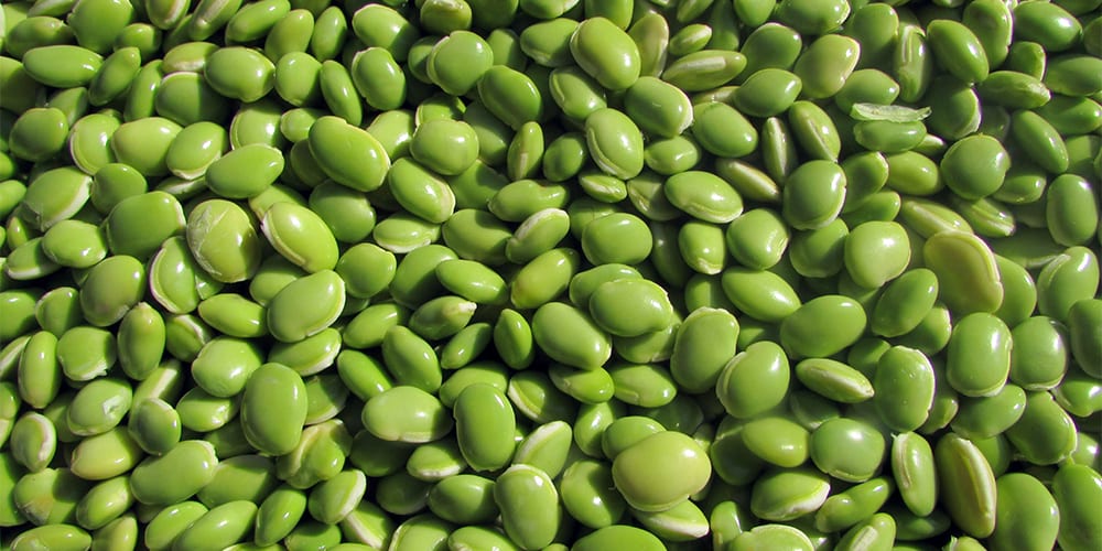 lima beans | foods high in potassium