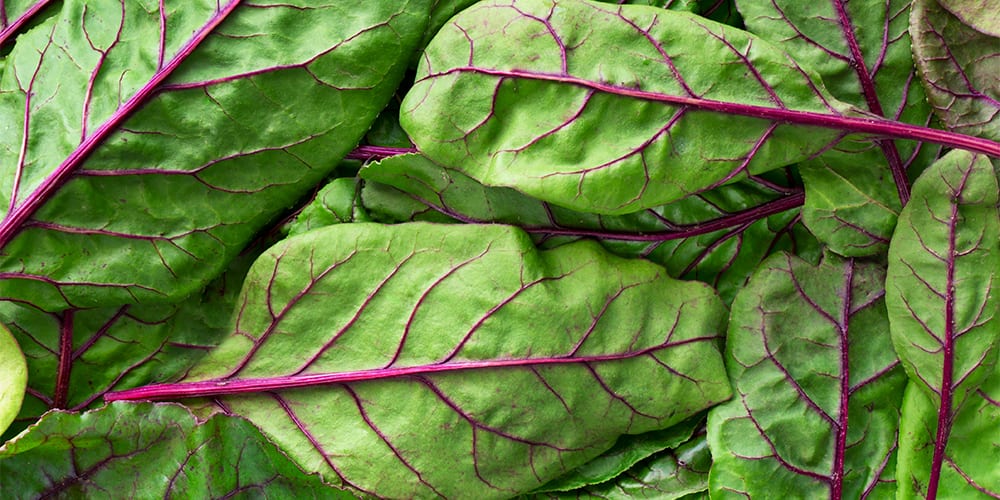 swiss chard | foods high in potassium