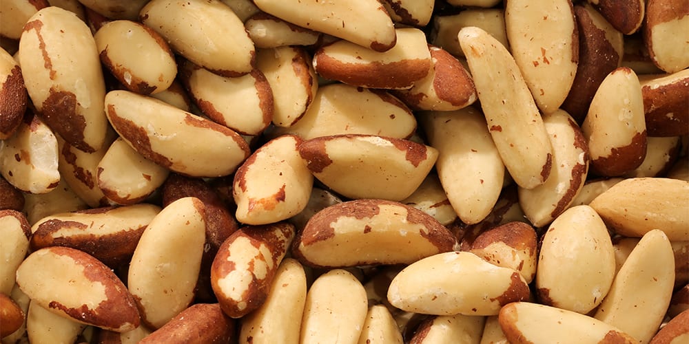 brazil nuts | foods high in magnesium
