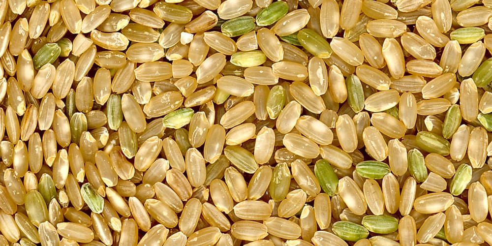 brown rice | foods high in magnesium