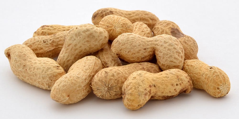 peanuts pile | foods high in magnesium