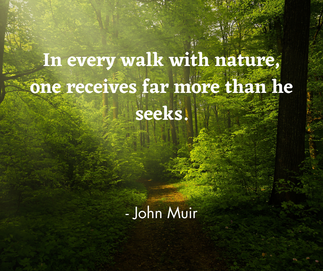 25 Walking Quotes to Inspire Your Day | BODi