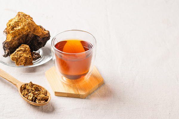 Mushroom Tea: Is It Good for You?