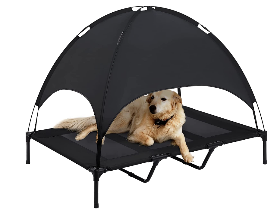  | Dog Hiking Gear