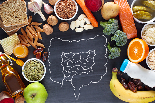 food around drawing of gi tract | What Are Net Carbs