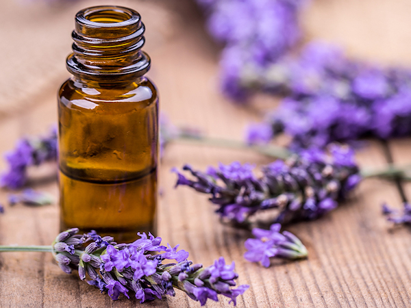 Lavender Oil | Inexpensive Self Care