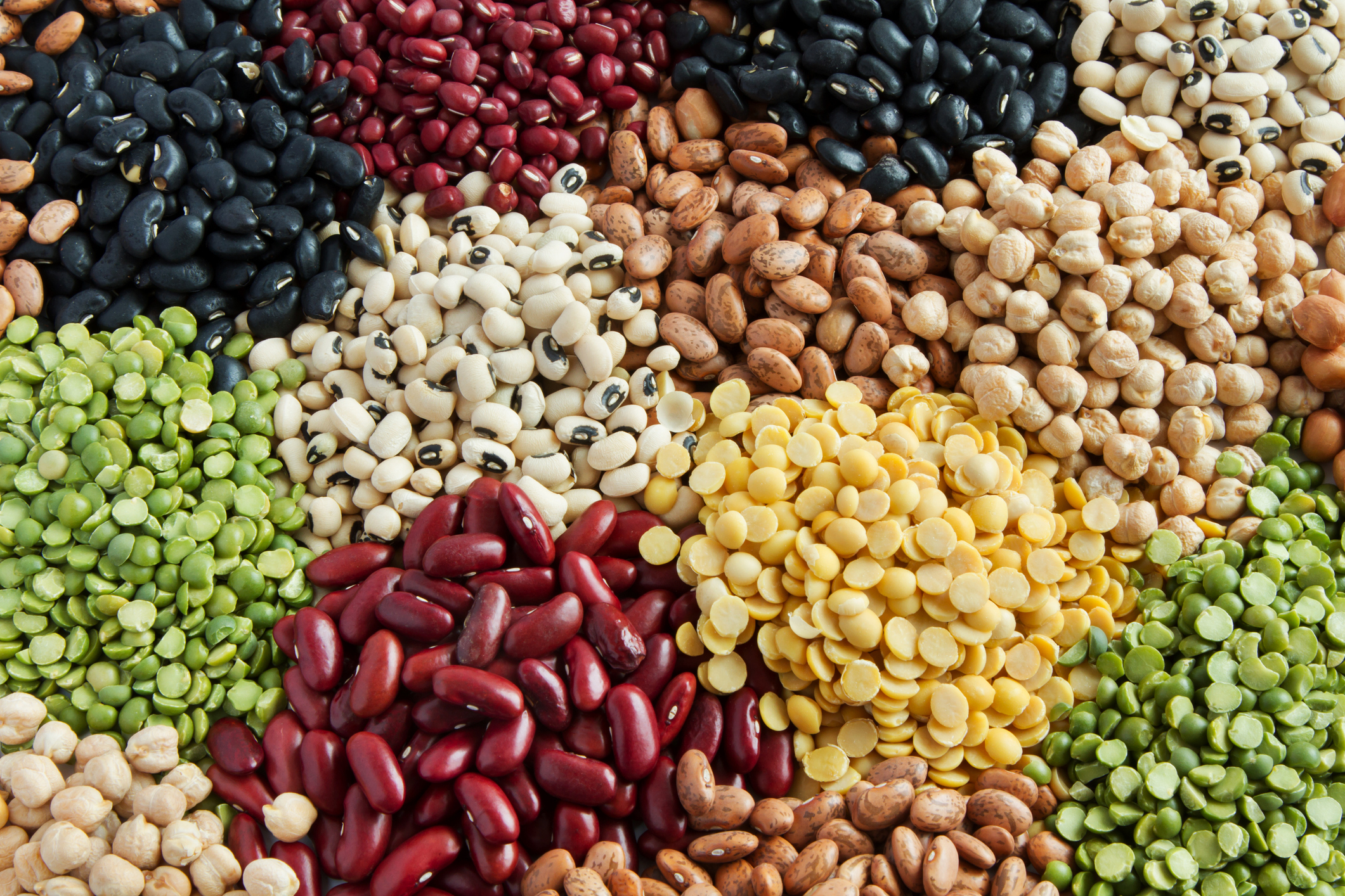 Legumes, Seeds, and Grains | Complete Protein Foods