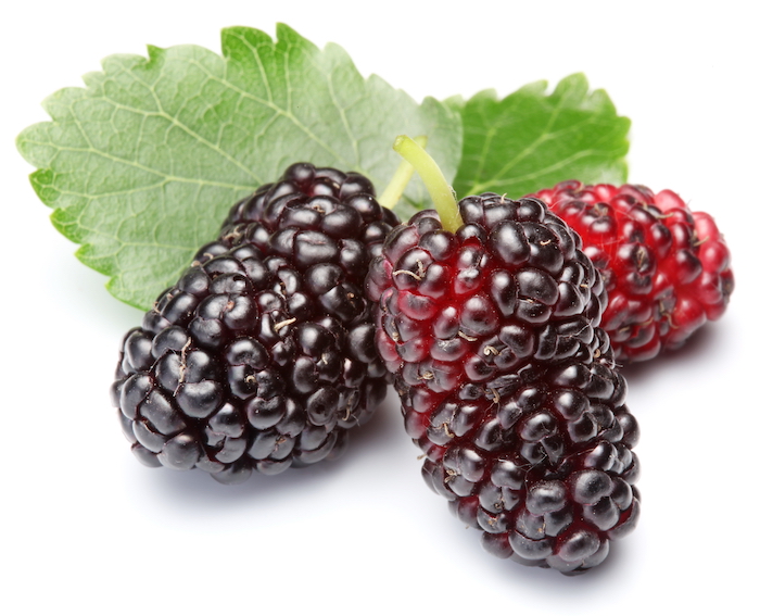 Mulberries | High Protein Fruits