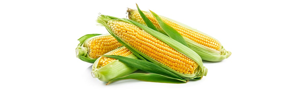 Corn | High Protein Vegetables