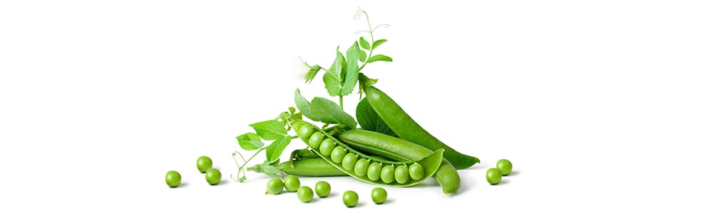 Green Peas | High Protein Vegetables