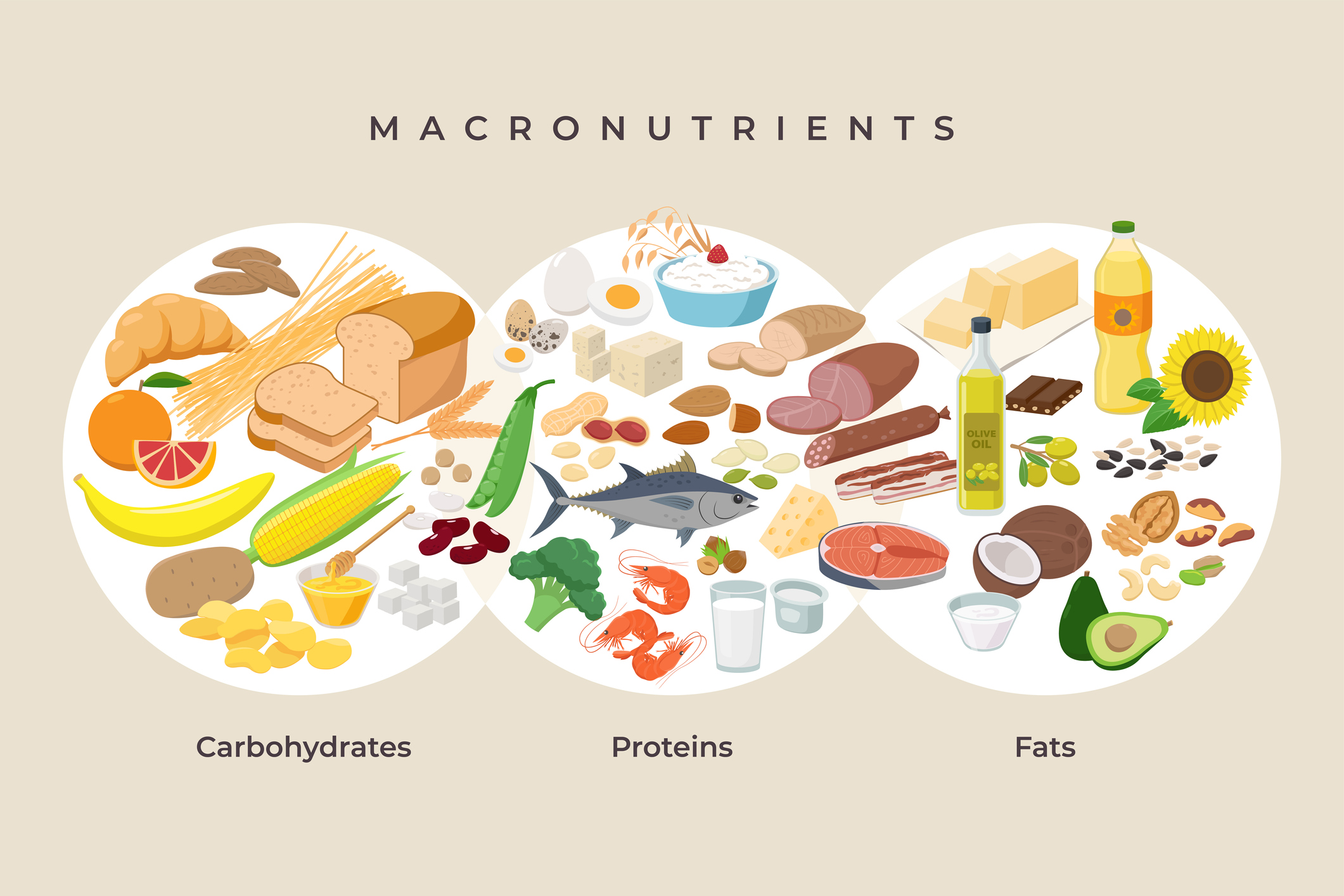 Graphic of different Macronutrients | Calories in Alcohol