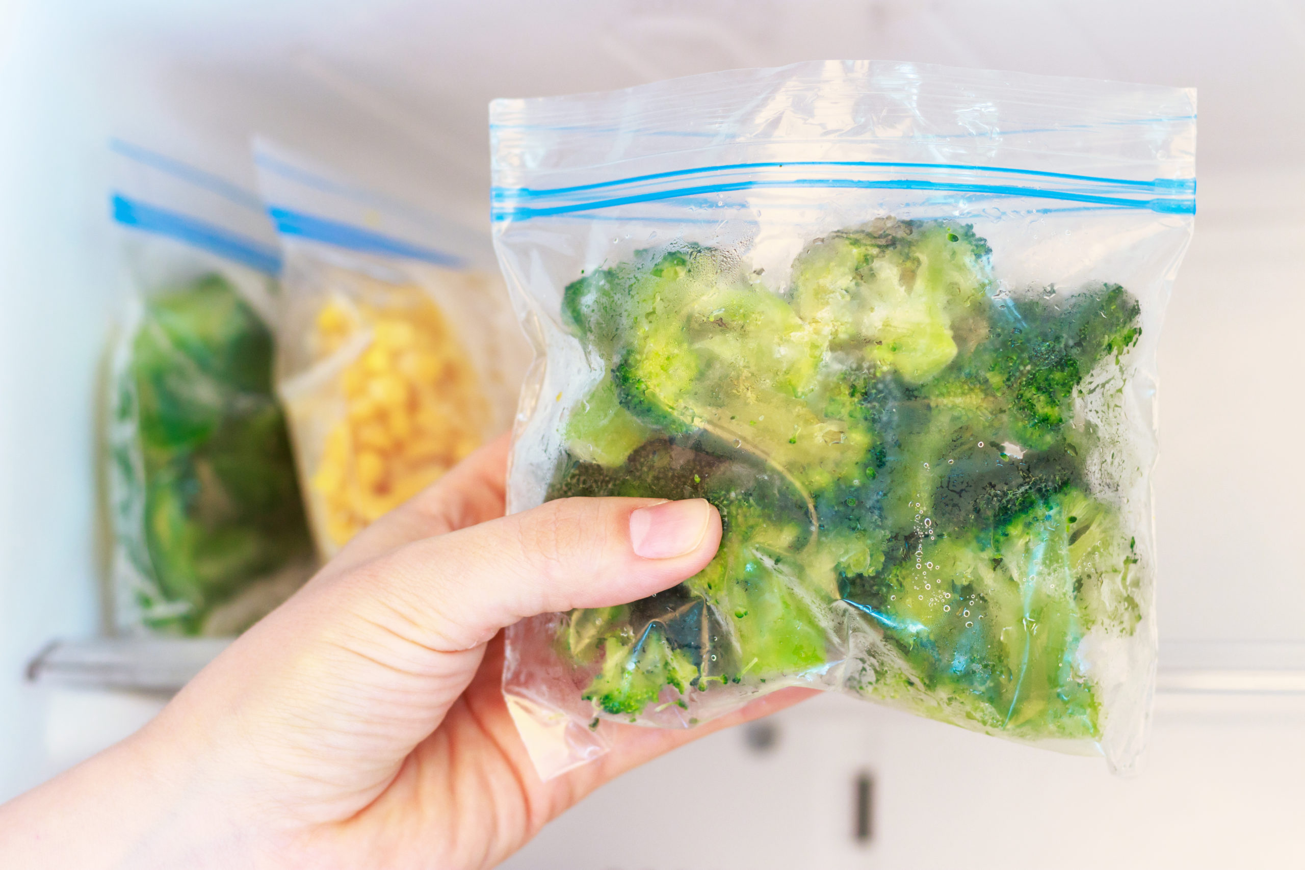 Ziplock Baggies of Food | Moldy Food