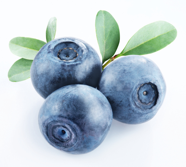 Isolated image Bilberries | Bilberry benefits