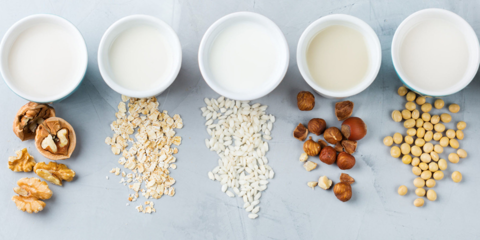 An Overview of the Healthiest Milks: From Cows to Crops