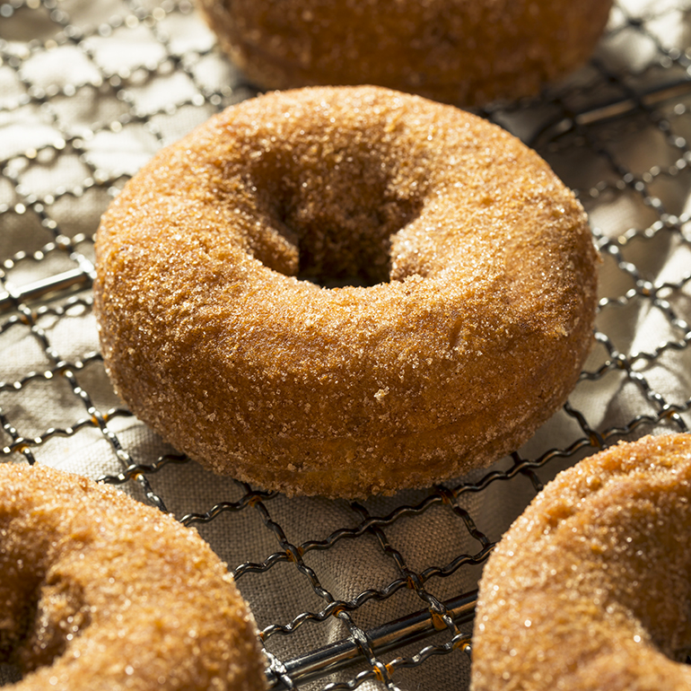 Cinnamon Crumb Donuts - Roidless