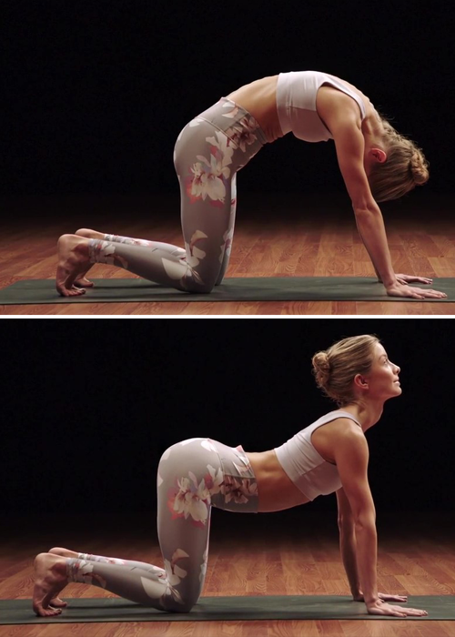 Woman Does Cat and Cow Poses | Backbends