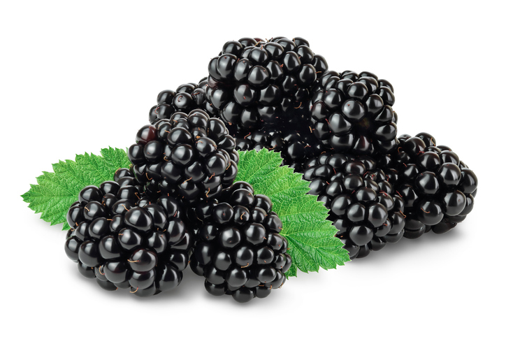 Isolated Image of Blackberries | Low Carb Fruits