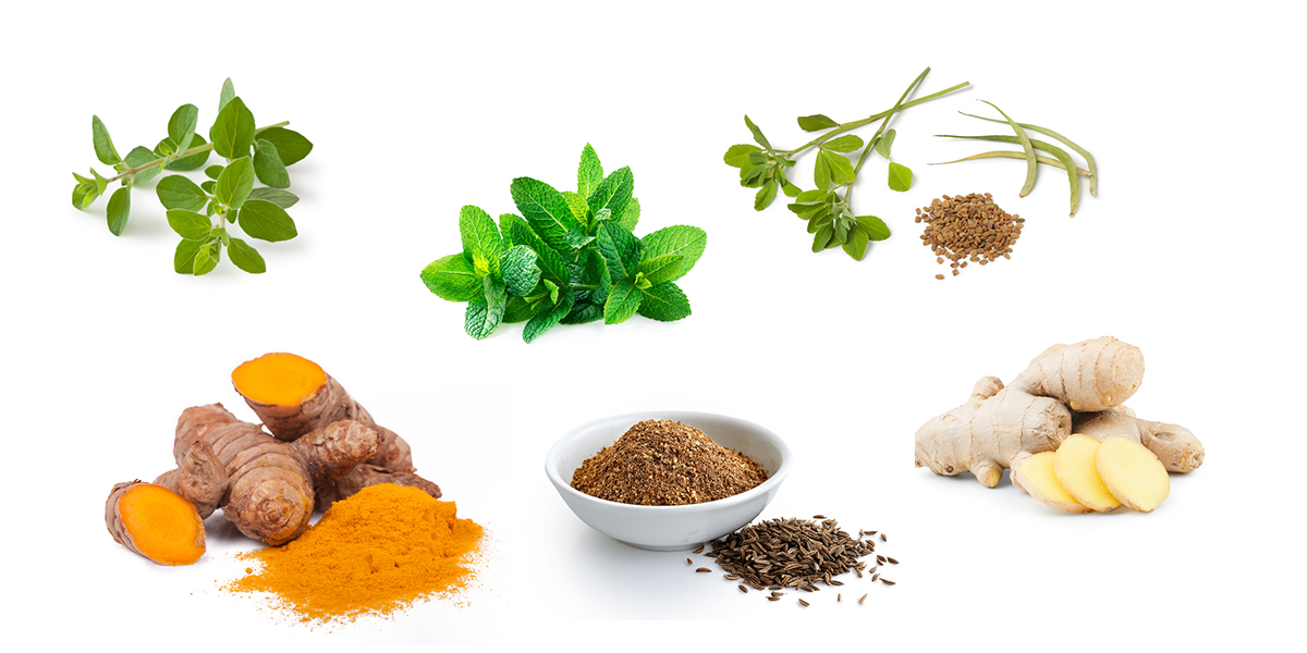 Isolated images of various herbs | antioxidant foods