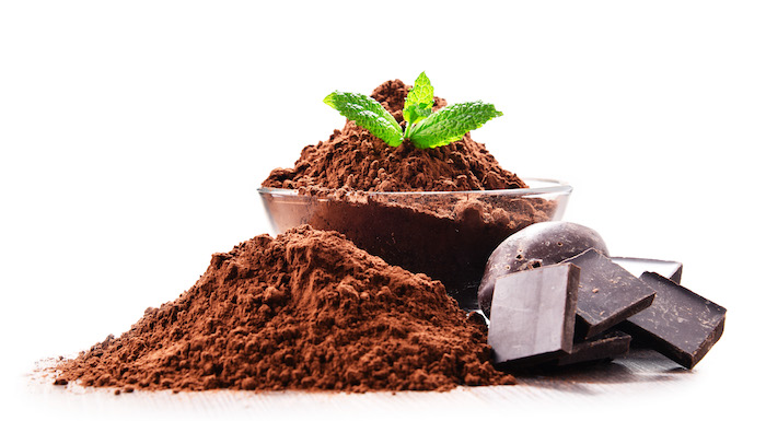 Bowl of Cocoa Powder and Chocolate | What to put in a protein shake