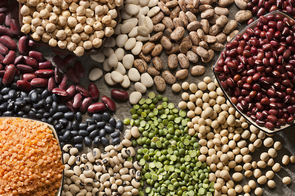 Close Up of Variety of Legumes | Food that lowers blood sugar